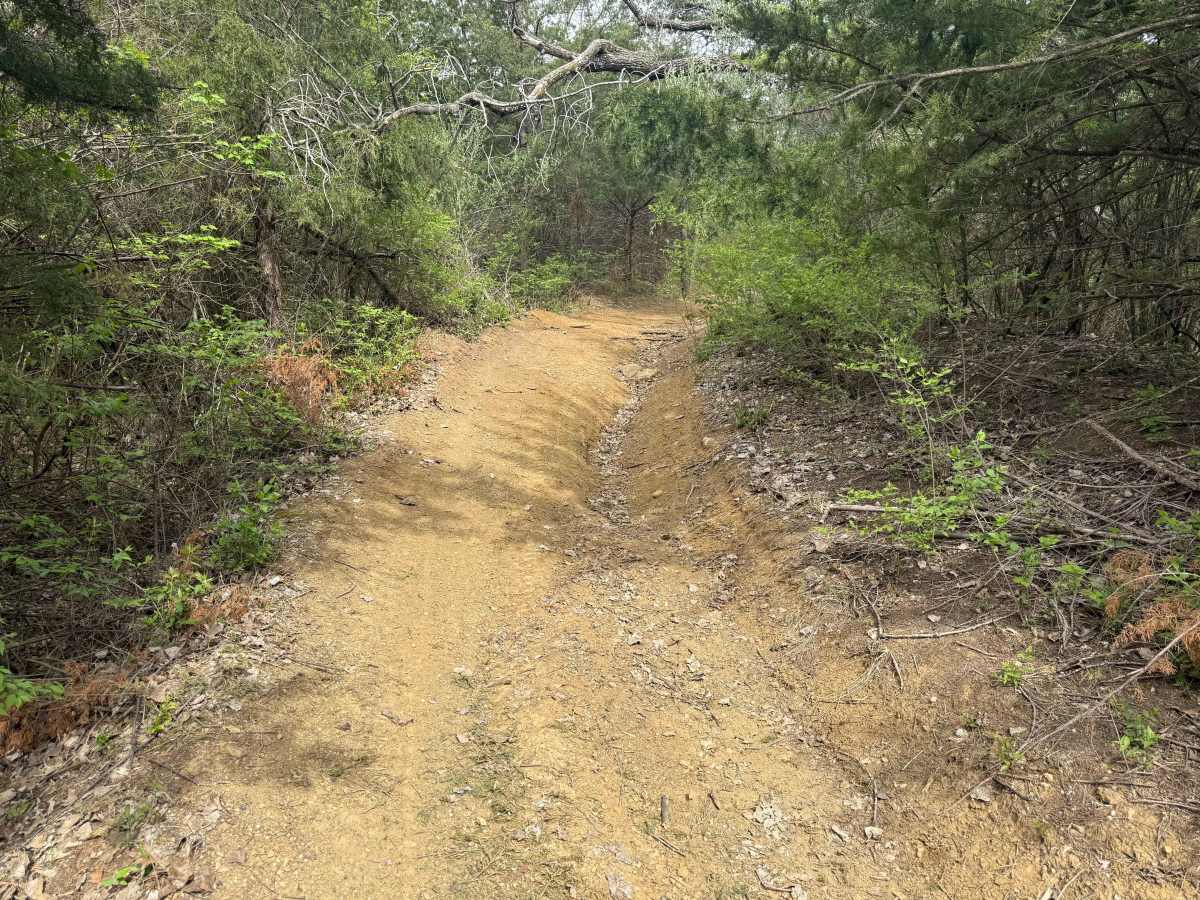 Trail # 6 photo 4