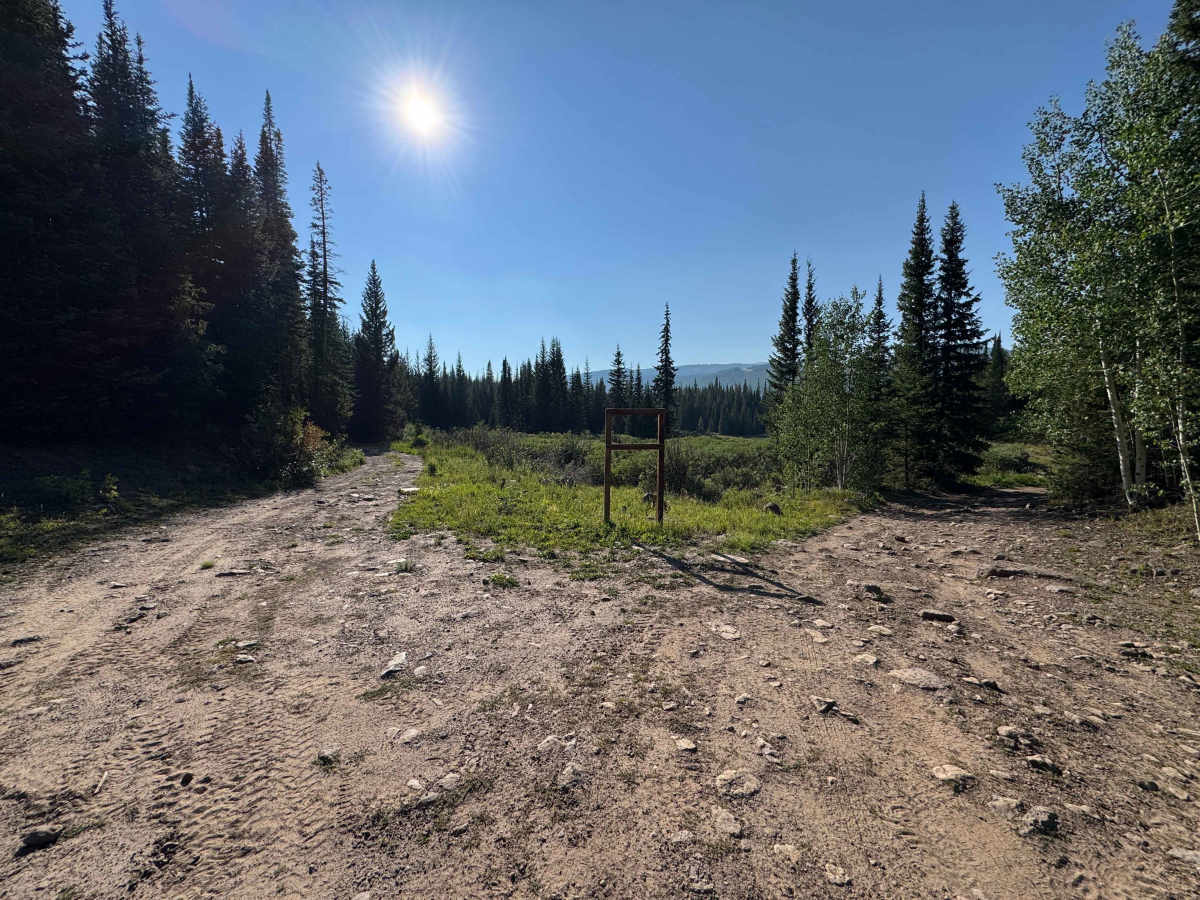Ram’s Horn Lake Road - FS 9111 photo 2
