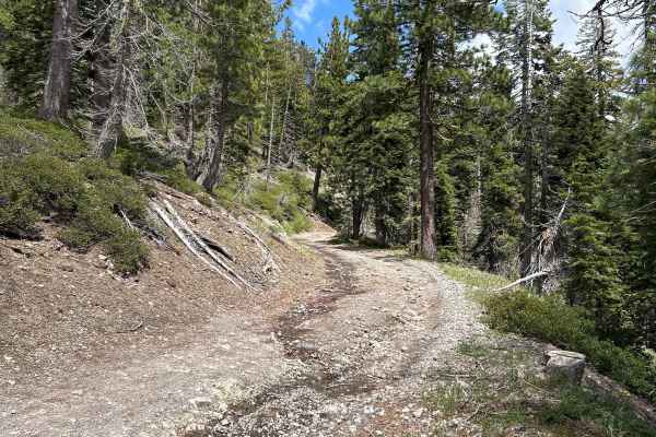 Mosquito Ridge Trail 