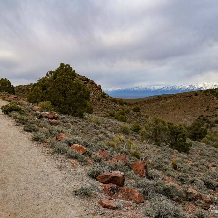 Near Hickison Petroglyph Recreation Area Interpretive Trail