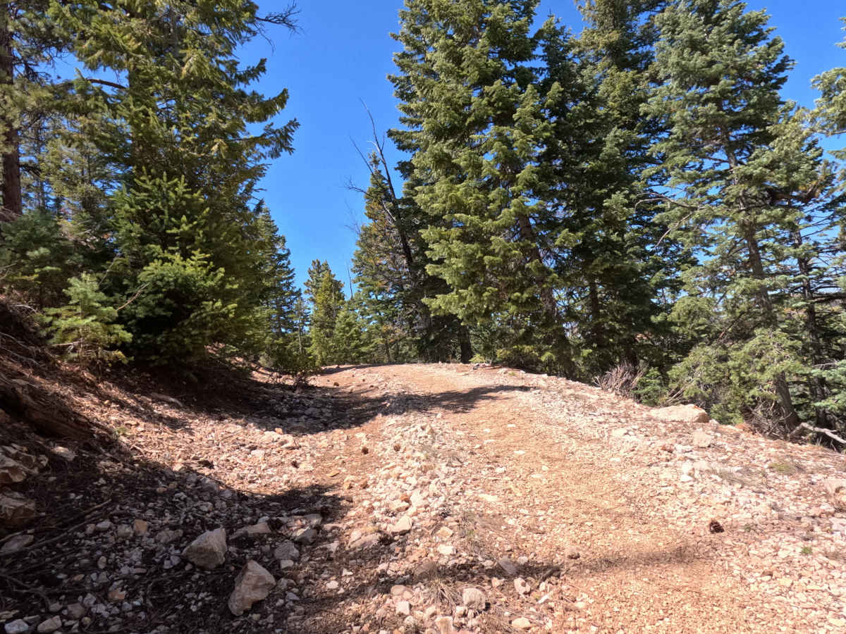 FS 31214 photo 3