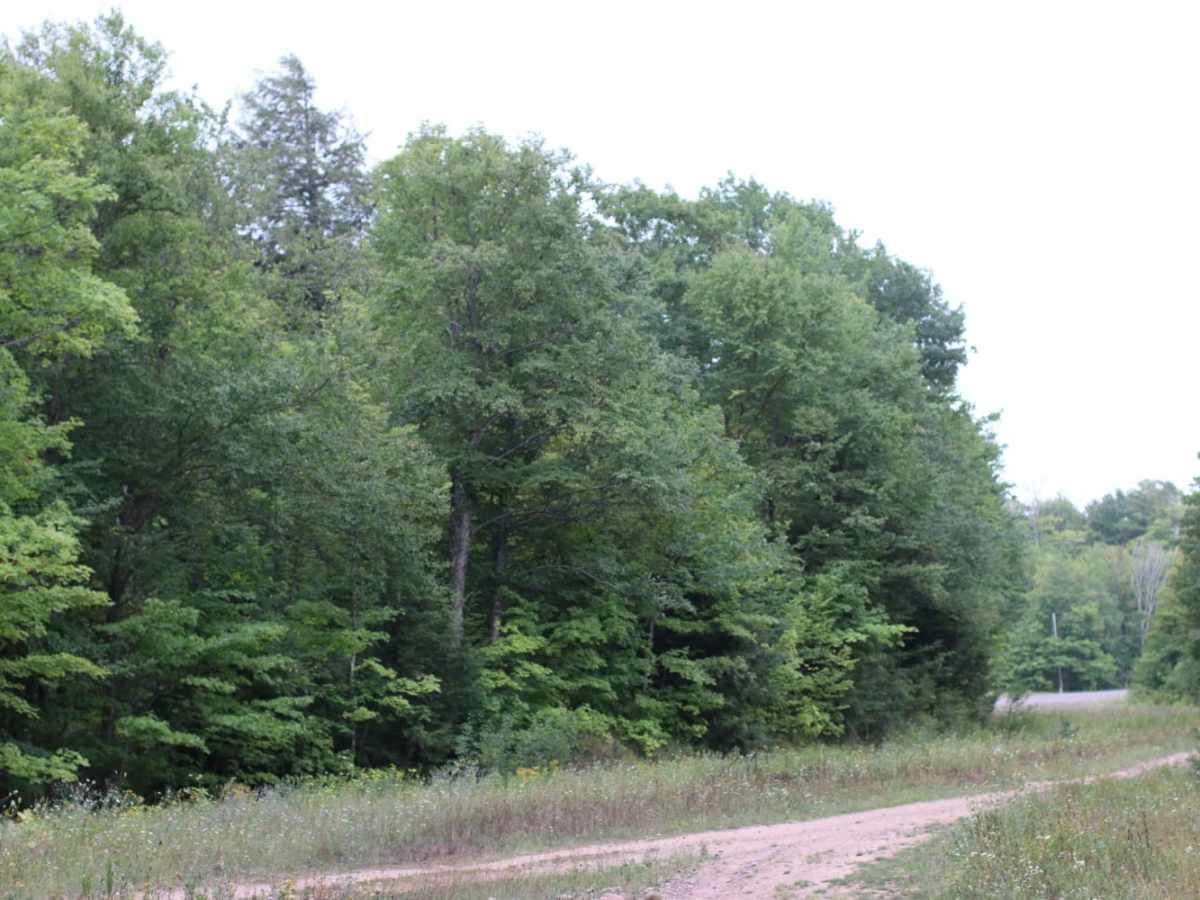 Old M-26 Trail photo 5