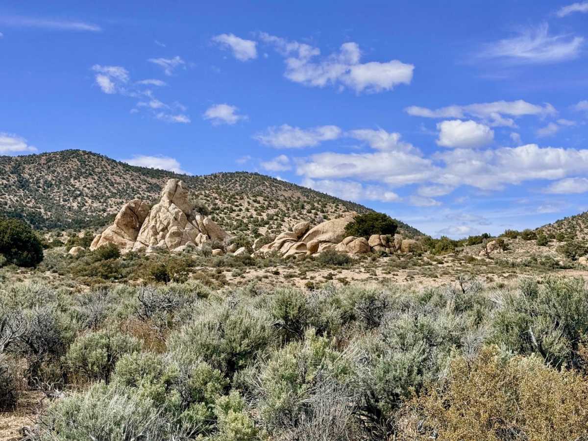 Spanish Spring - FS 44015 photo 3