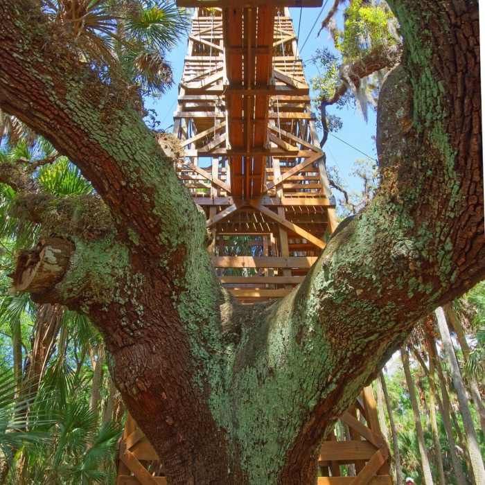 Near William Boylston Nature Trail