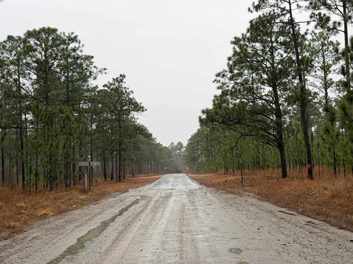 Hoffman Road trail photo