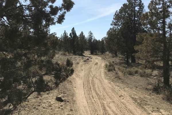 Millican Plateau Trail 82