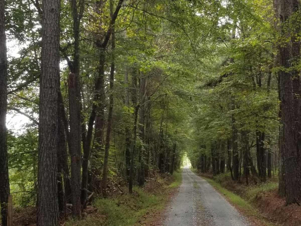 Enoree River Southside Trail System photo 6