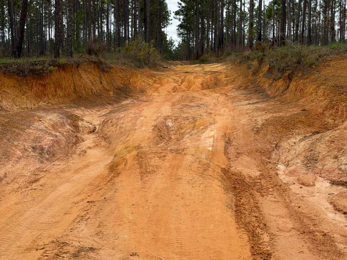 J 45 trail photo