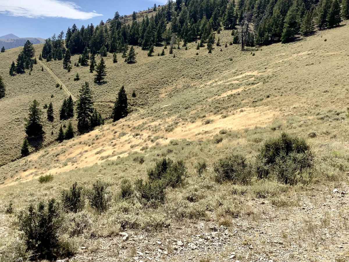 Sands Canyon ATV photo 5