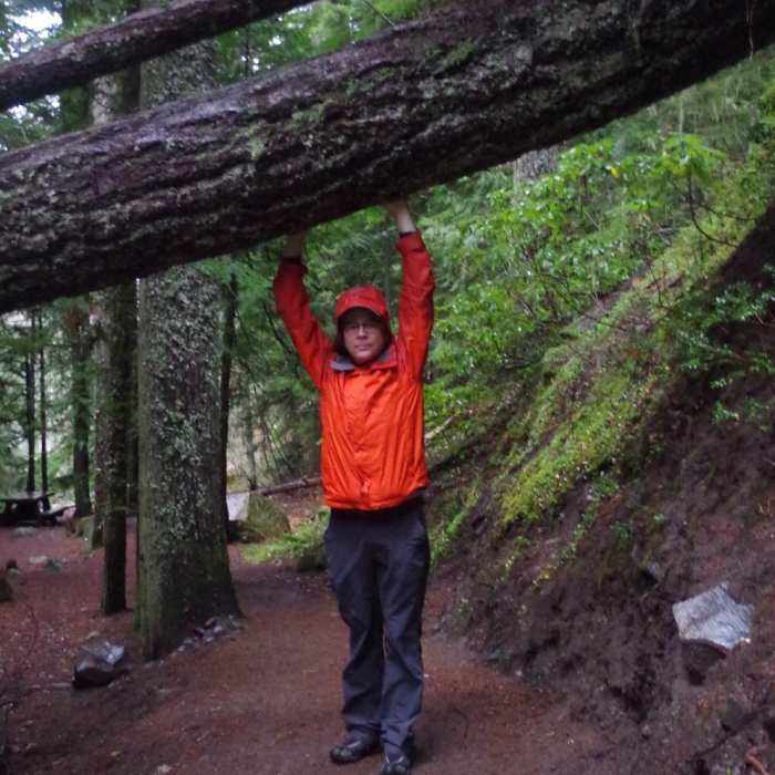 Near Little Zigzag Falls Trail #795C