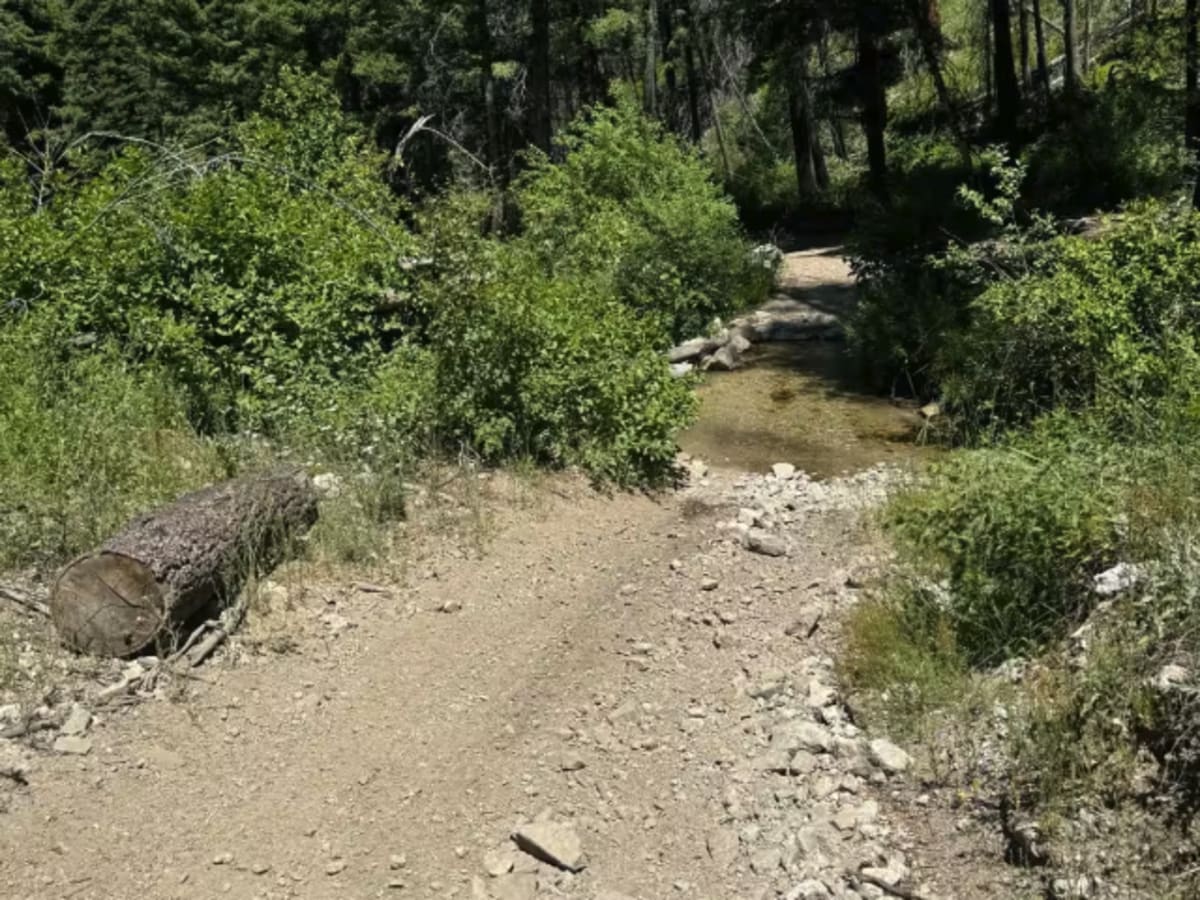 Iron Mountain-  FS 7050 photo 6