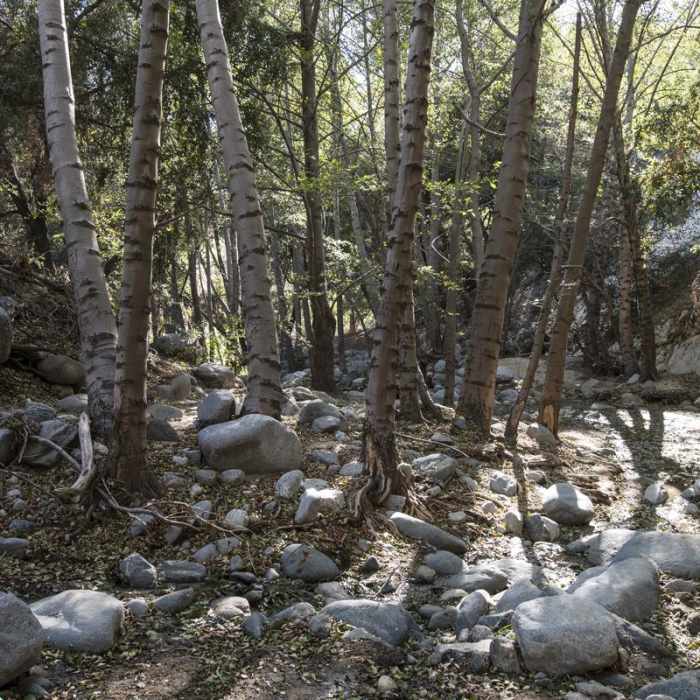 Near Switzer Falls Hike via Gabrielino Trail