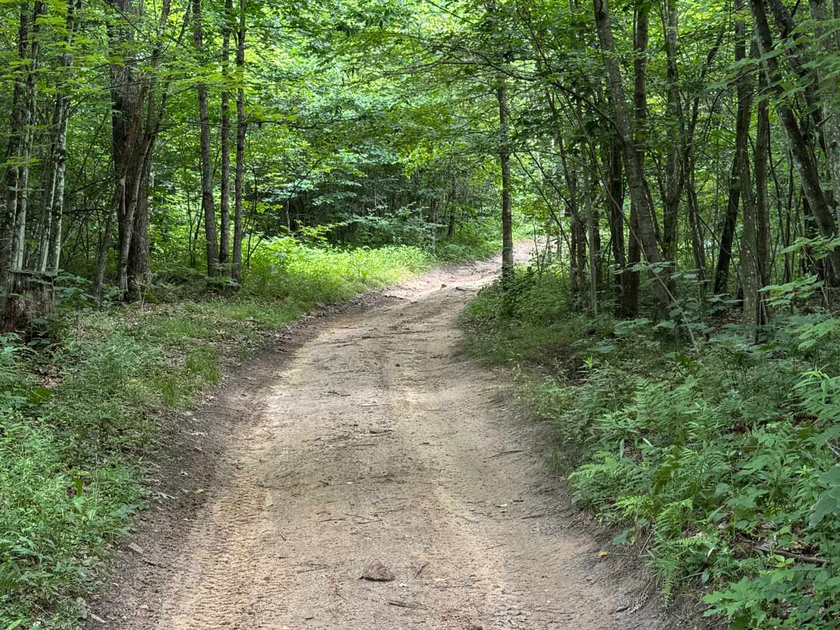 Trail 20 photo 3