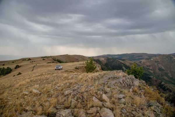 Logger Springs Road