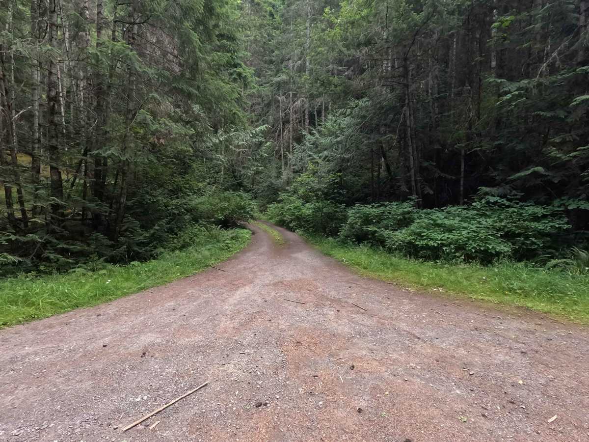 FS 2800320 trail photo