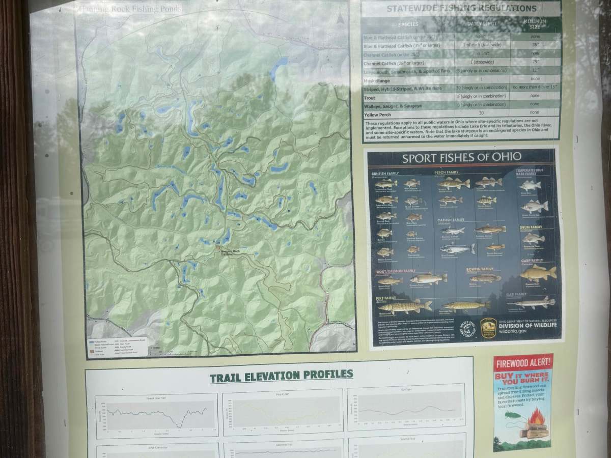Lake View Trail trail photo