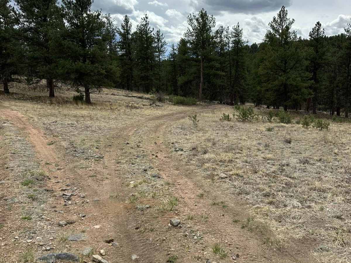 Figure 9 Road photo 2