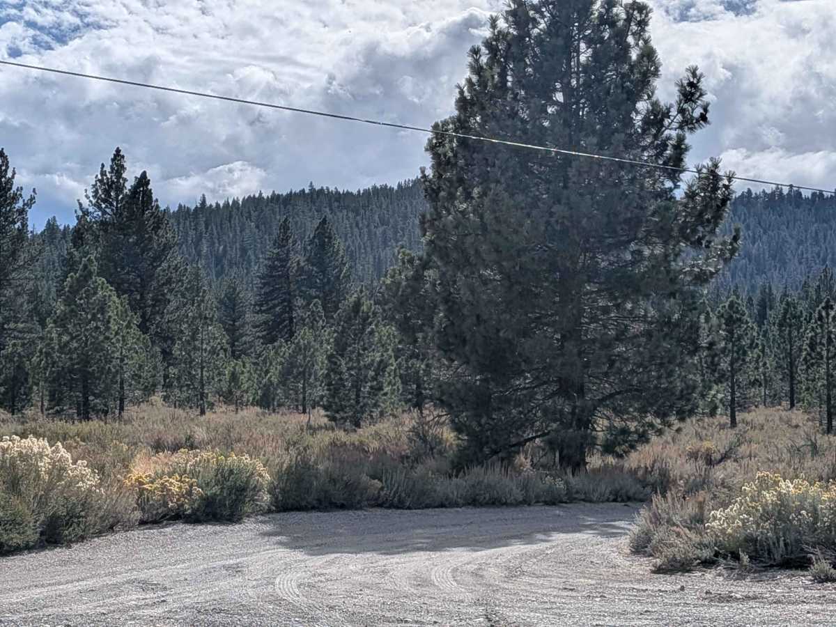 Dry Creek Lower - FS 2S08 photo 3
