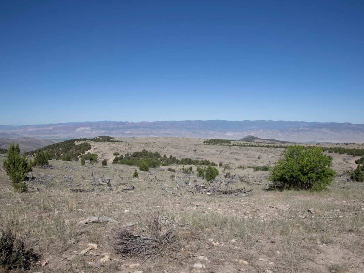 Cedar Mountain East Ridge photo 3