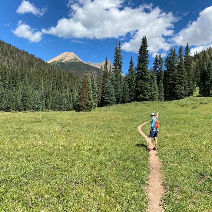 The meadows Near Cascade Creek Trail #510