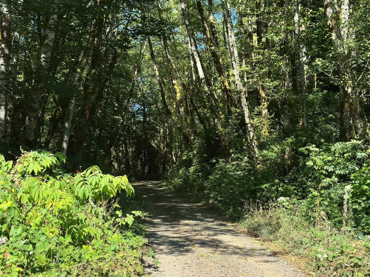 Wildcat Ridge photo 2