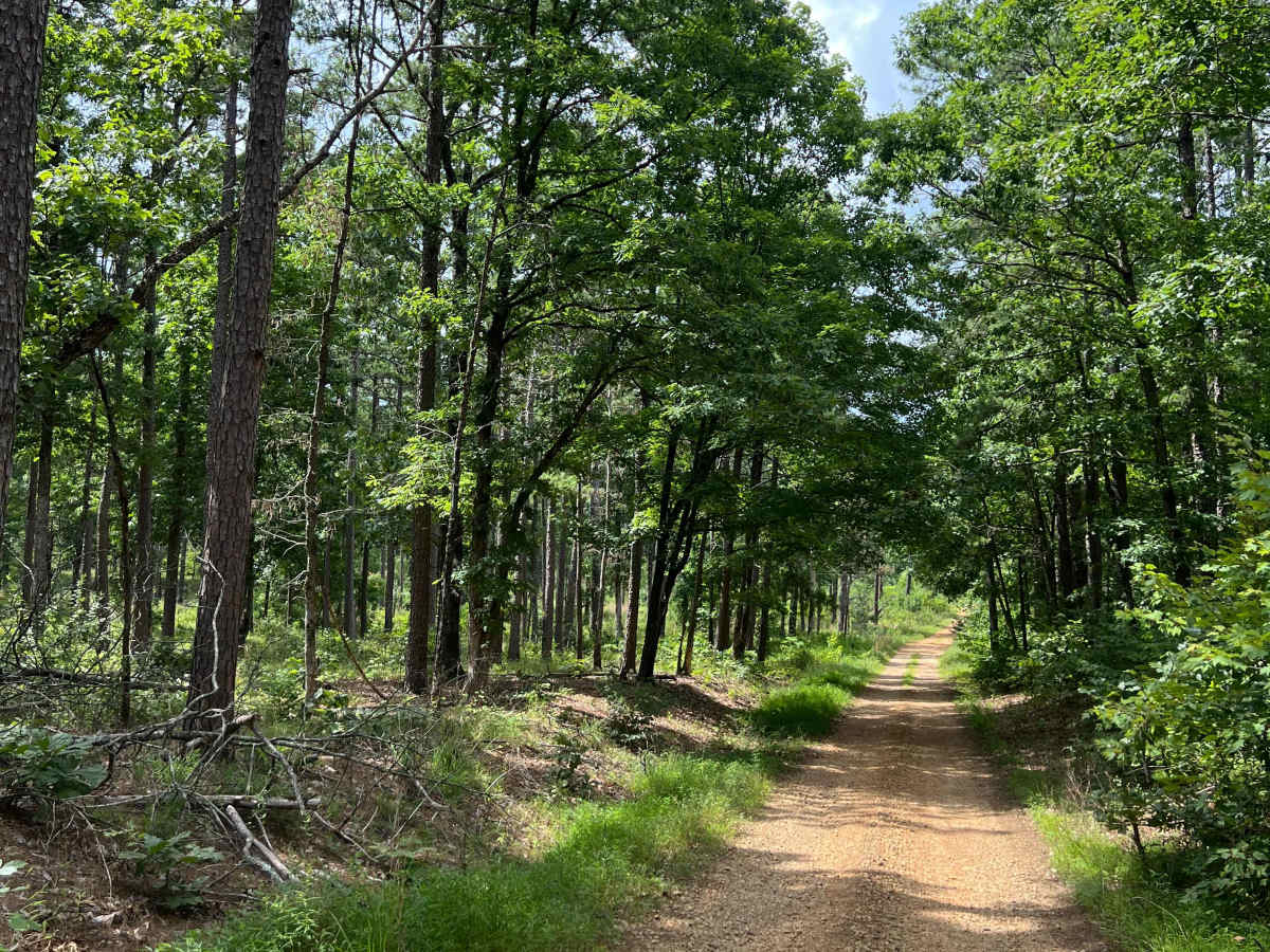 Hatley Mountain Road  photo 3