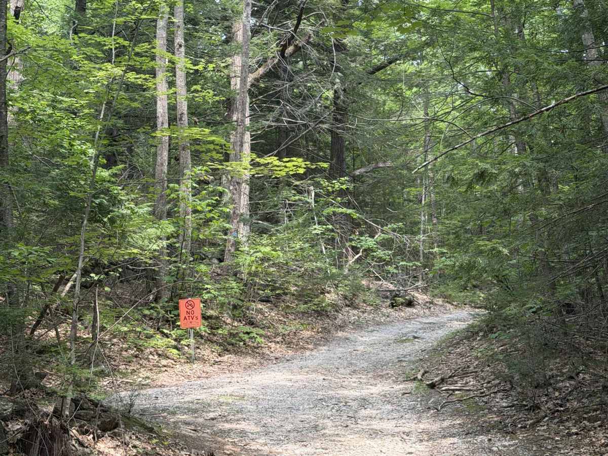 Badger Lane trail photo