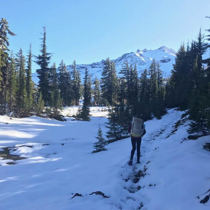 Near Diamond Lakes Loop