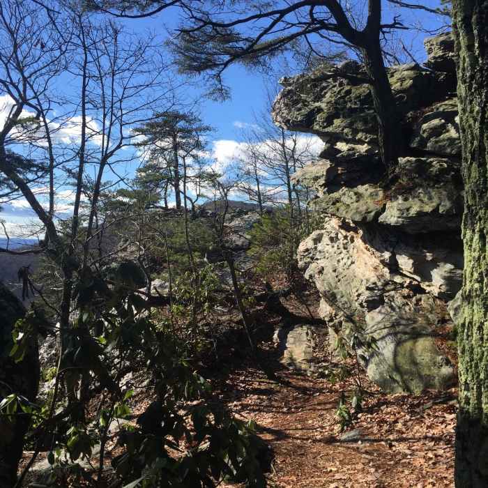 Near Wolf Rock Trail