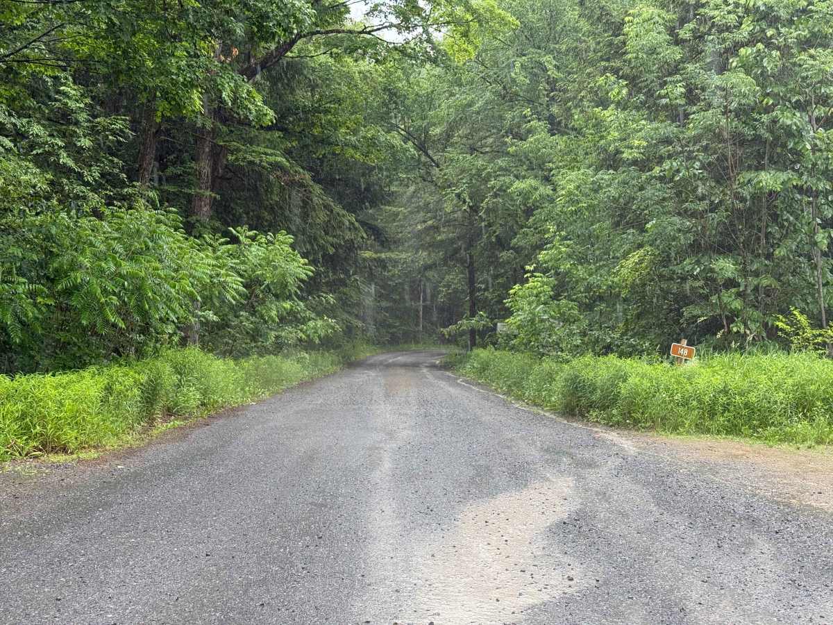 Cherry Run - FS 148 trail photo
