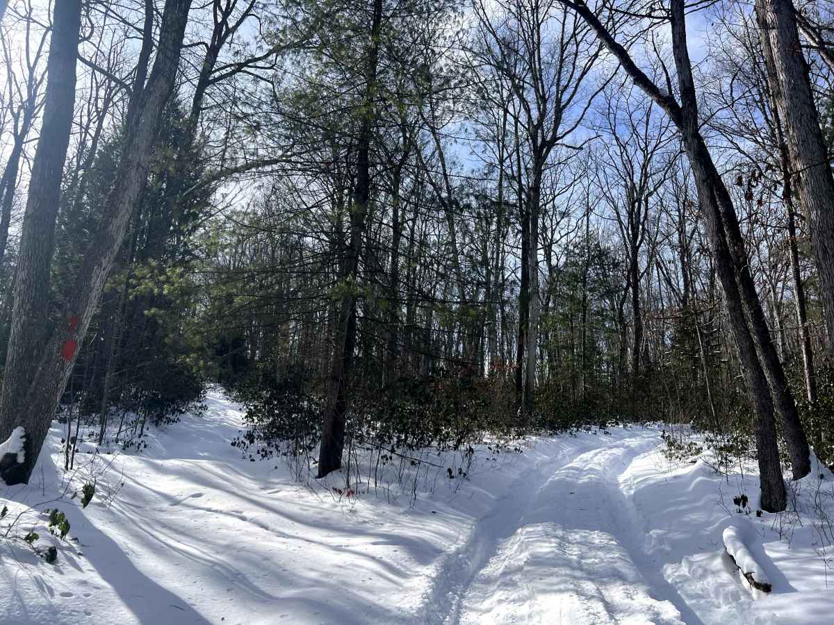 McElhenny Trail photo 3