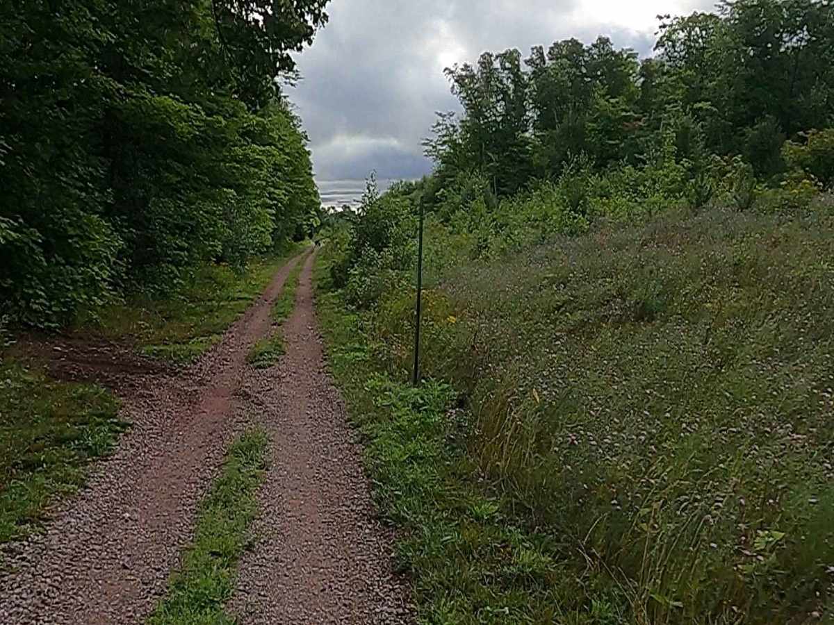 Cleveland Cliff- Empire Mines Trackway photo 2