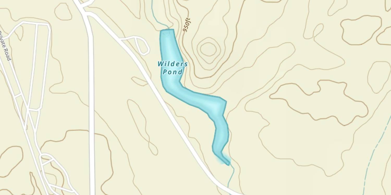 Wilders Pond