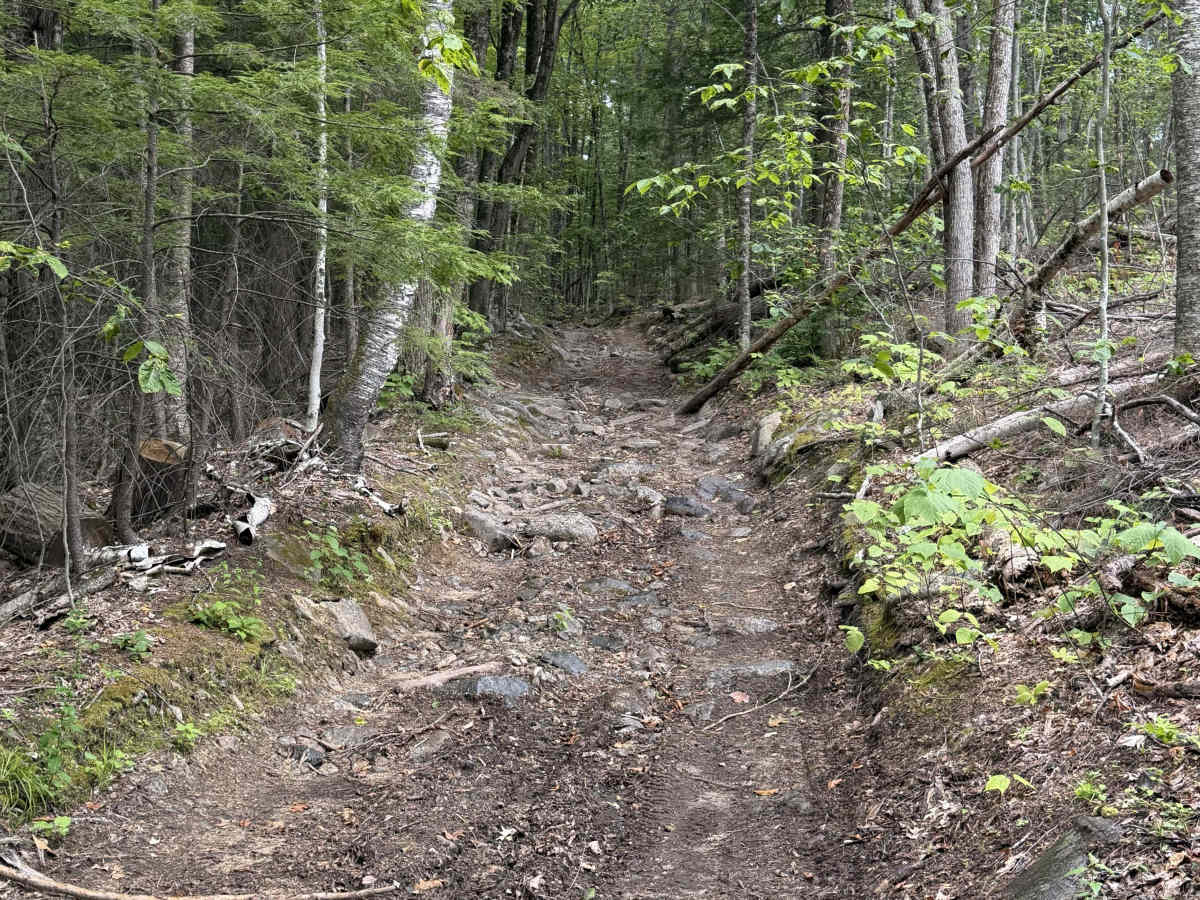 Bear Pond Road photo 3