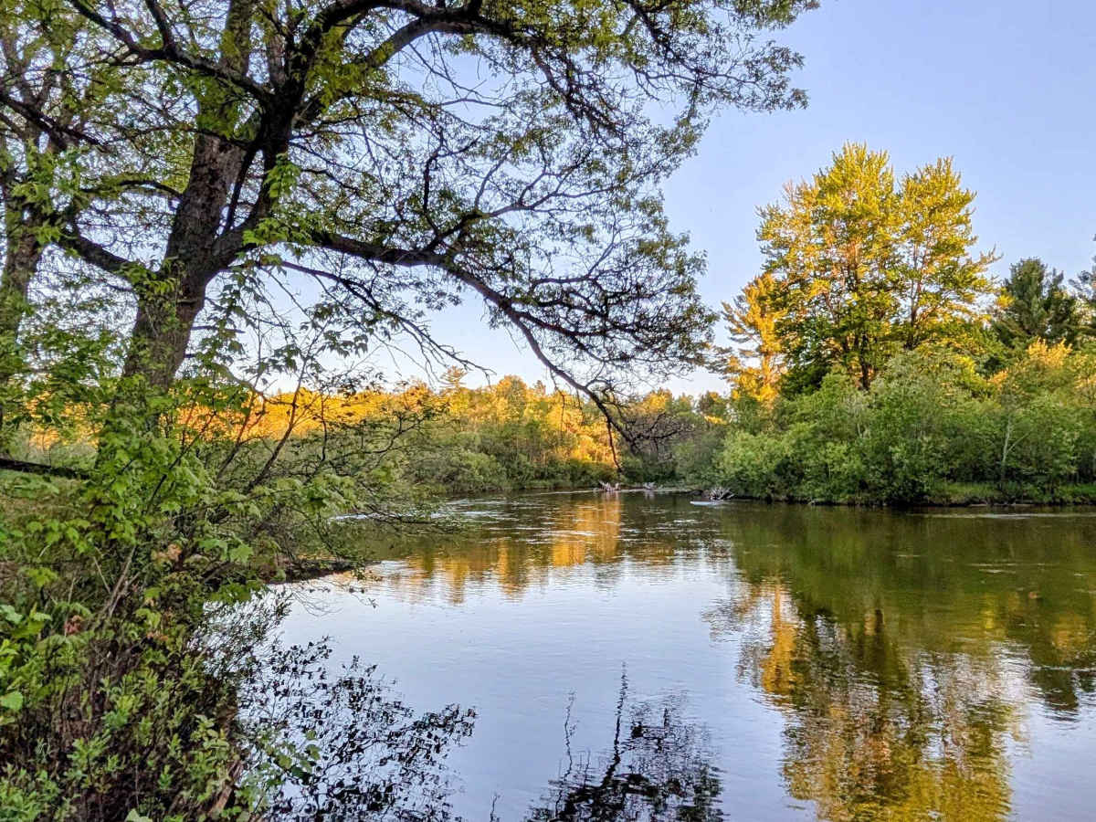 Yellow Tree Road trail photo
