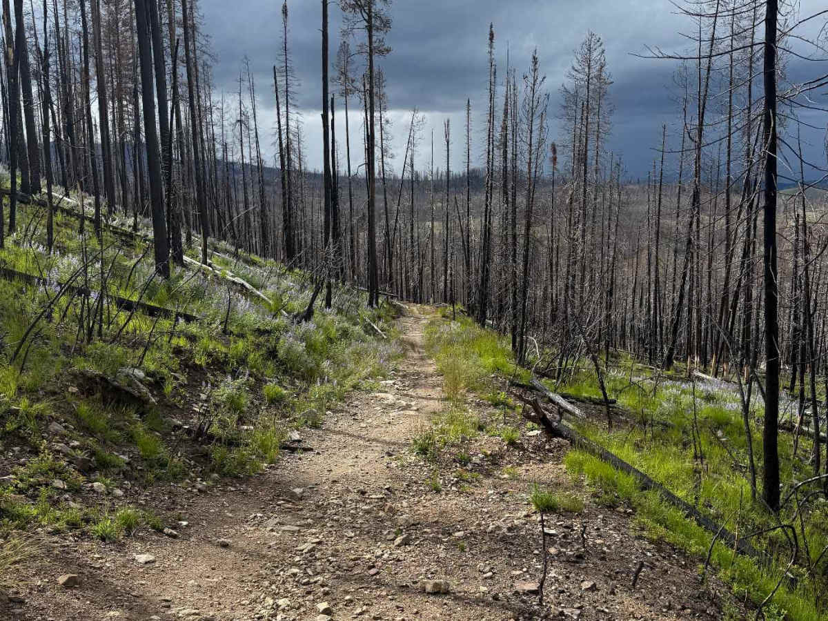 Elk Mountain Loop photo 5