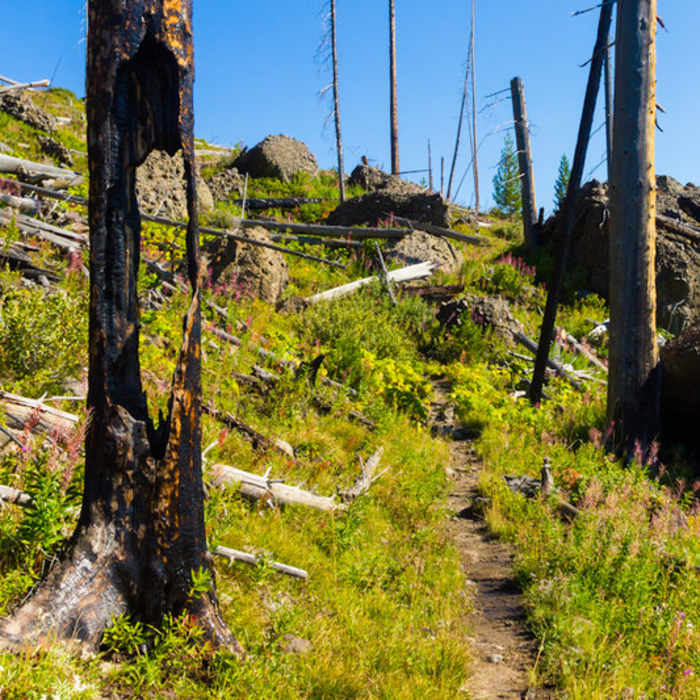 Near Lower Ford Trail