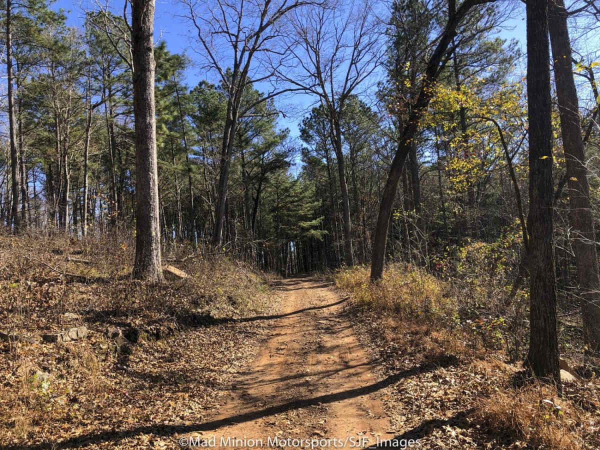 Morgan Mountain Road trail photo