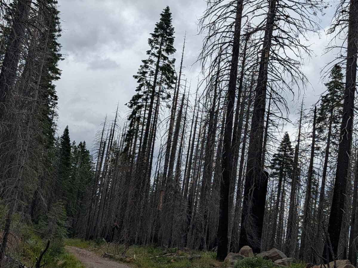 Lower Garner - FS 44N81 photo 3