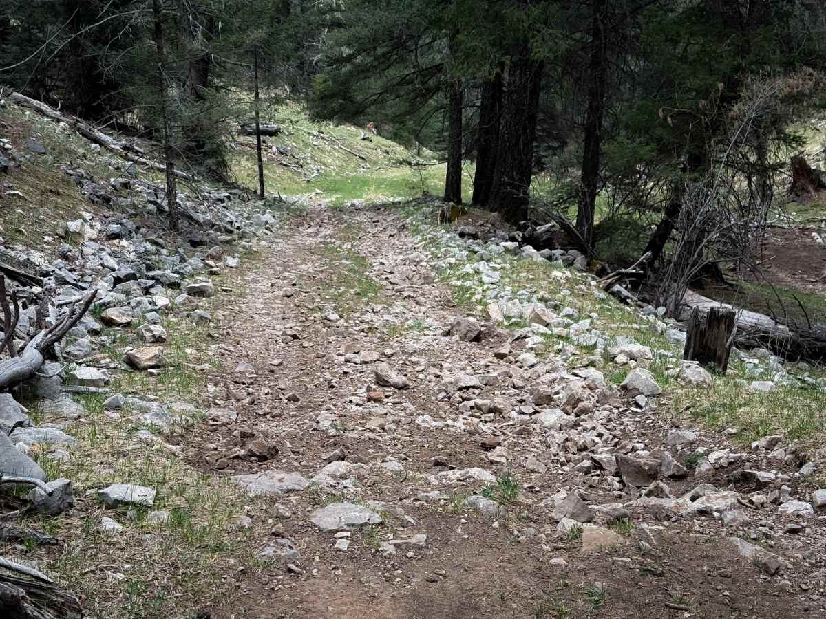 Schofield Canyon Trail - FS 5007A trail photo