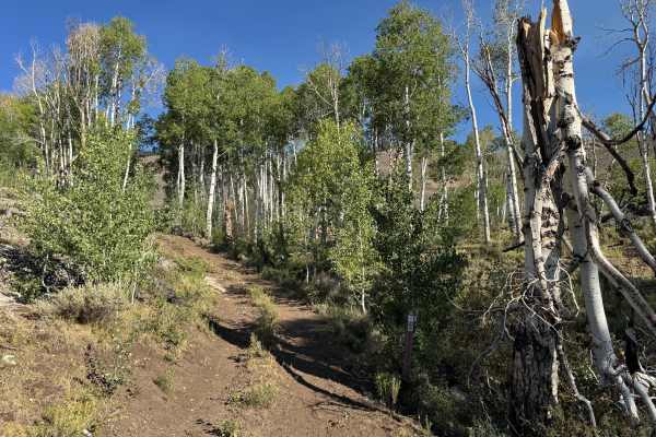 Flick Gulch Road