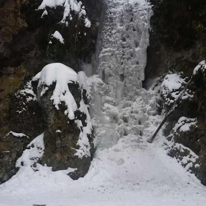 Near Trail 102 - South Trail Green Loop