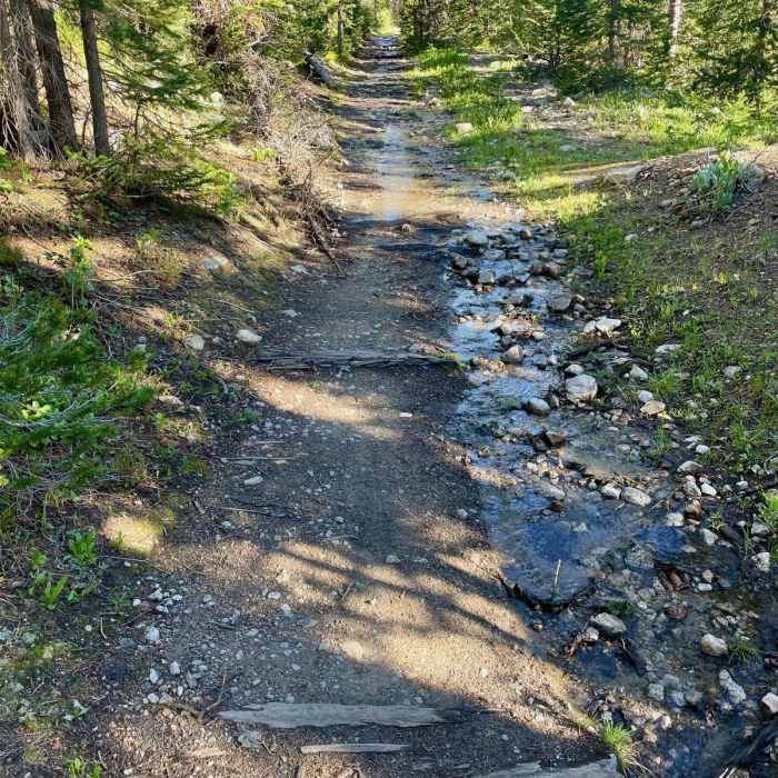 Near Continental Divide Trail: Colorado Section 20