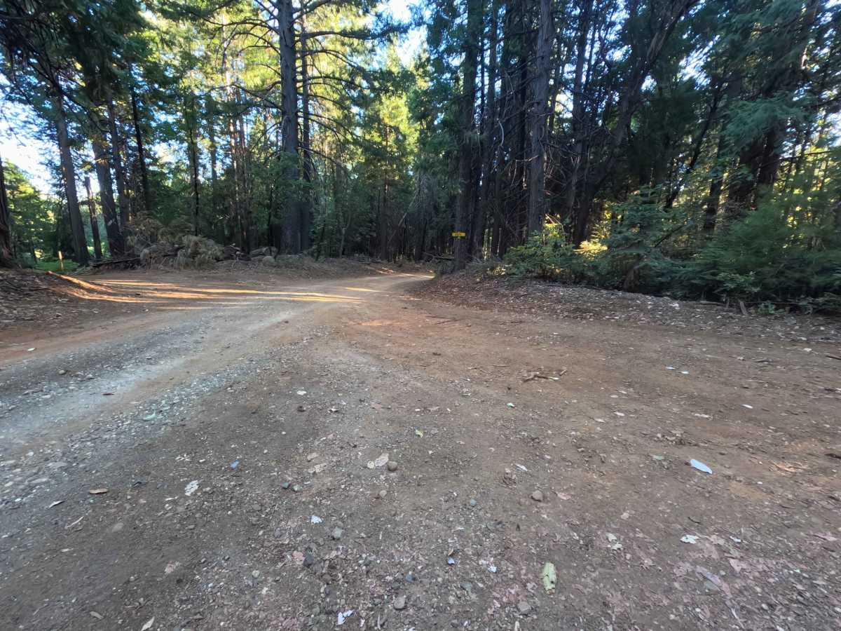 Weed Point - FS 20N14 trail photo
