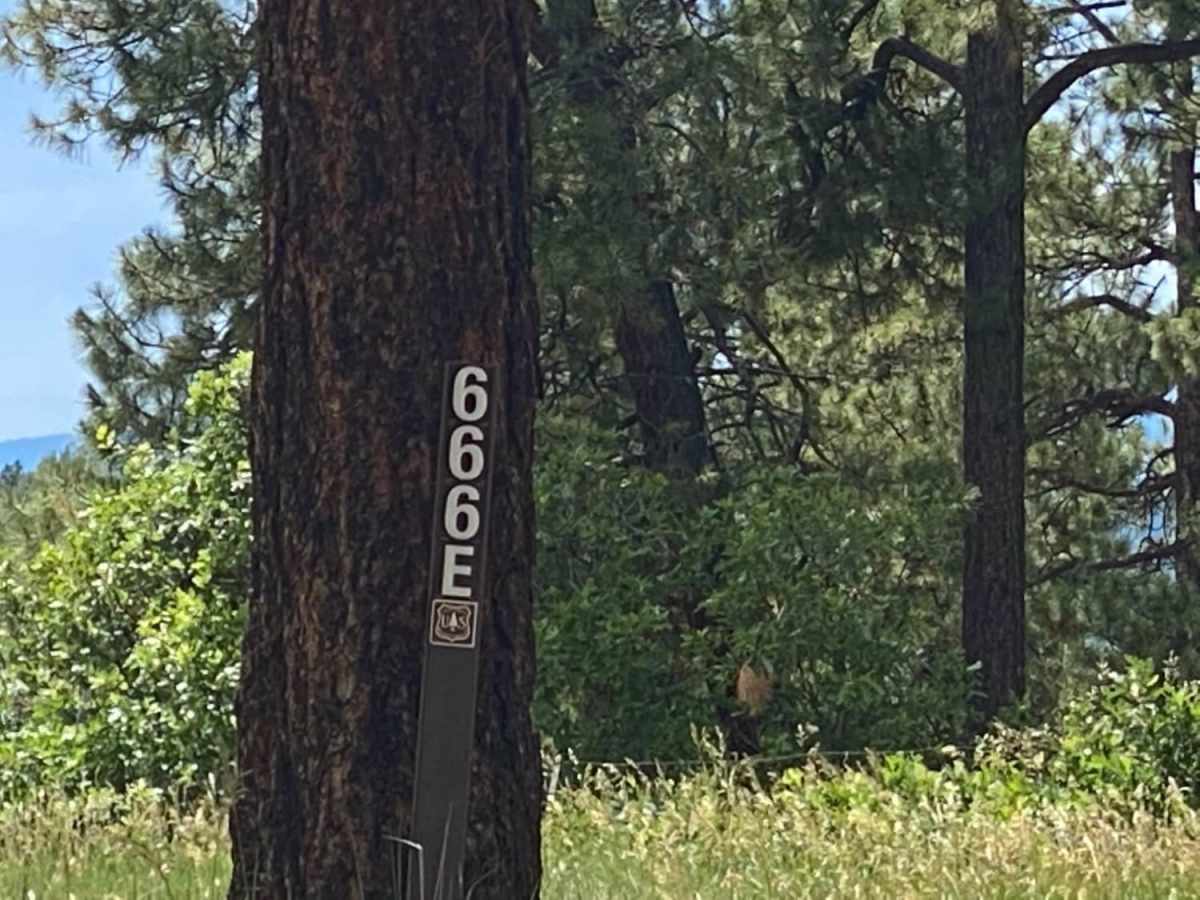 Fawn Gulch E-Fr Rd 666E photo 6