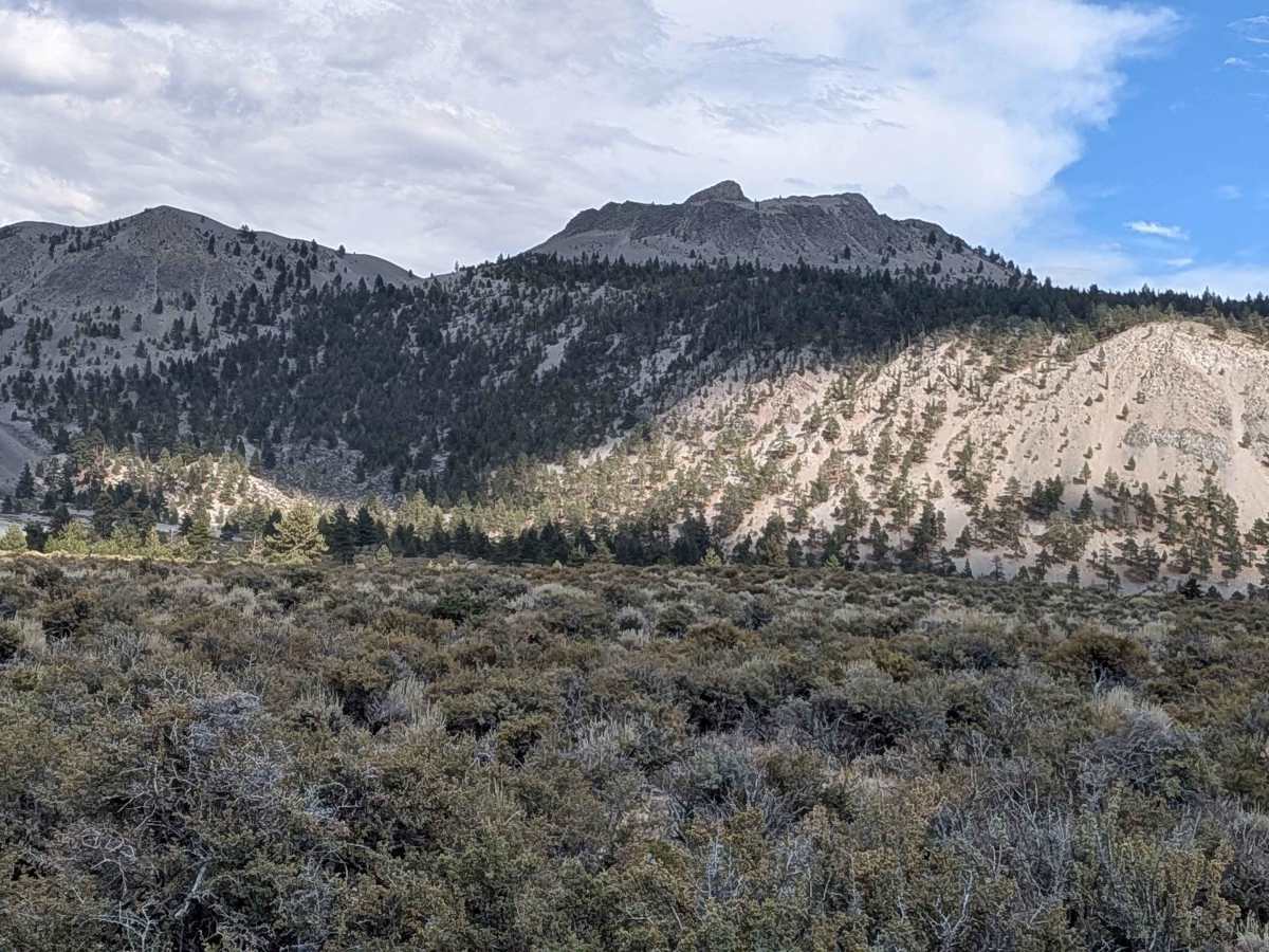 Crater Mountain Flats - FS 1S03 photo 2