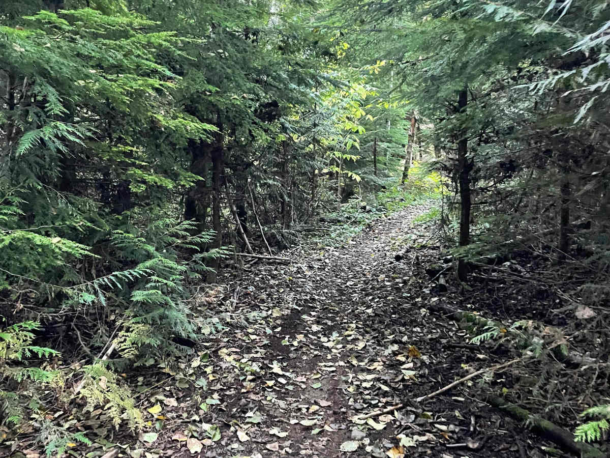 Connection Junction trail photo