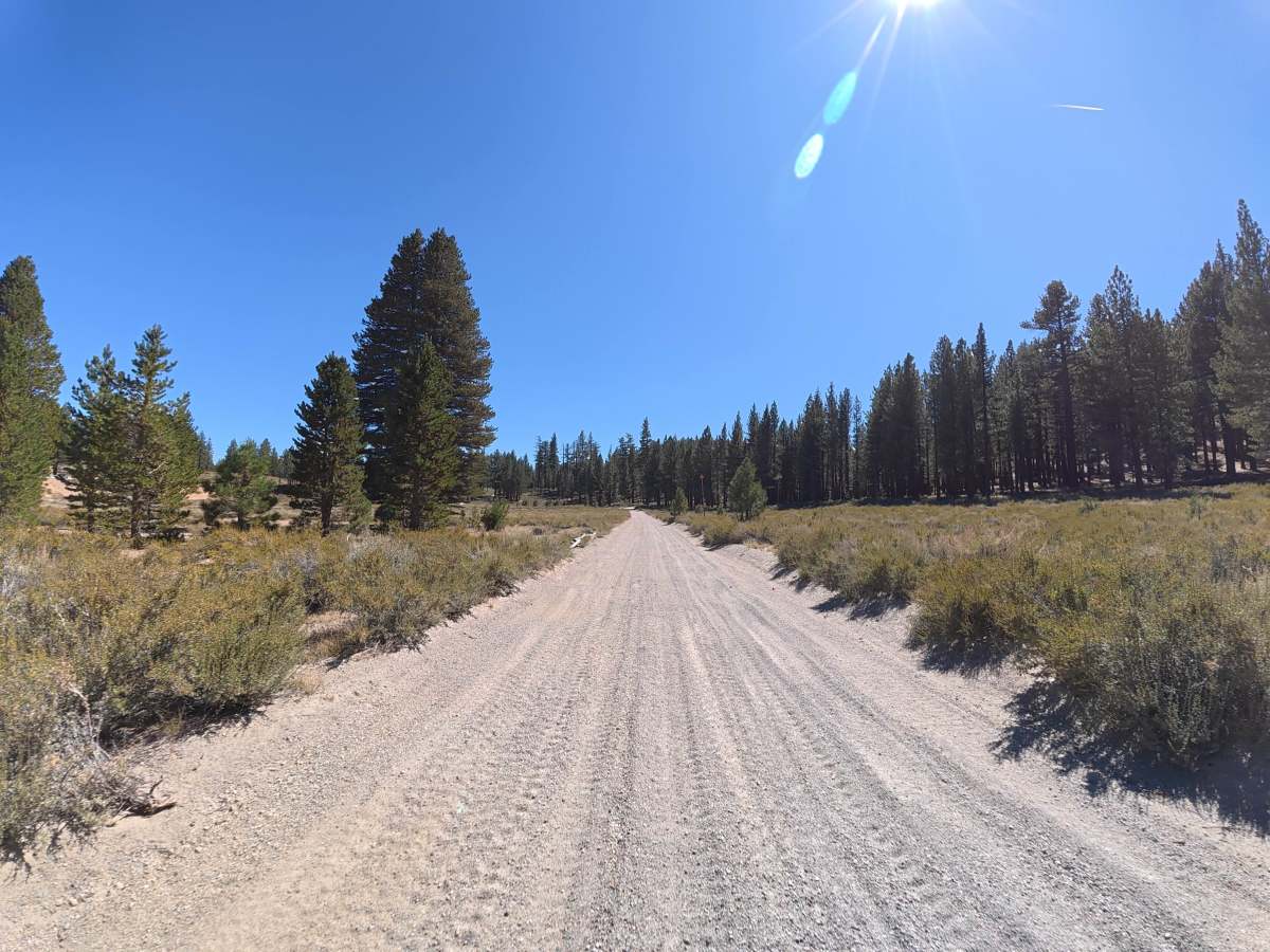 FS 3S116 trail photo