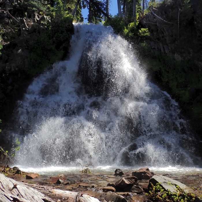 Near Stuart Falls Trail