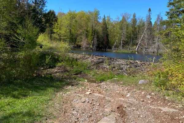 Beaver Dam Run